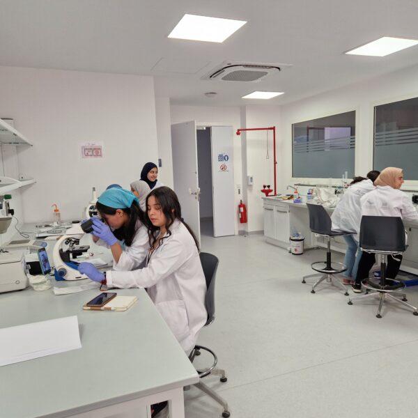 ISSB LAB