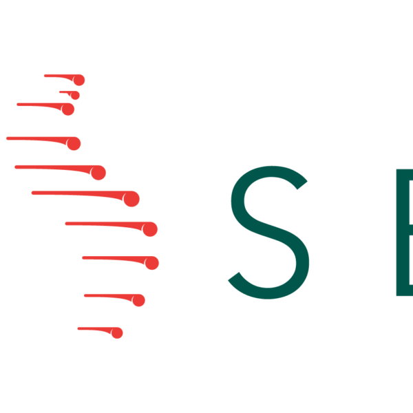 ISSB LOGO